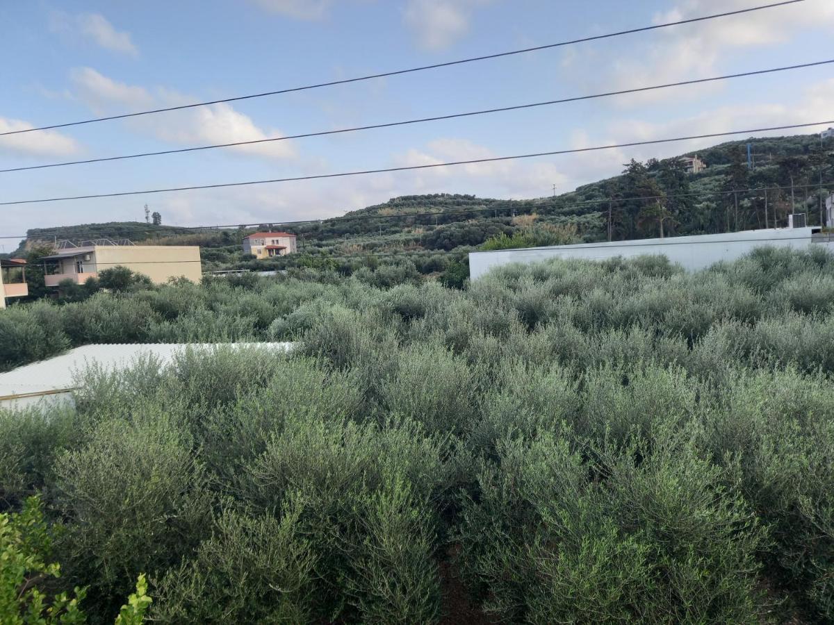 Michalis Litinas Apartments Agia Marina Екстериор снимка
